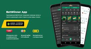 Experience the Excitement of BetWinner Online Casino